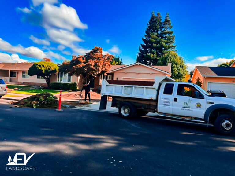 San Jose Landscape Contractor 5