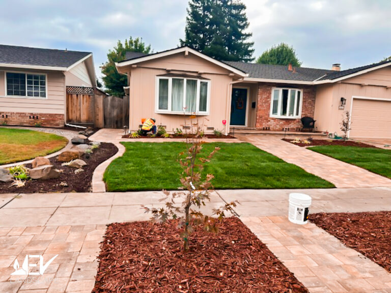 San Jose Landscape Contractor 9